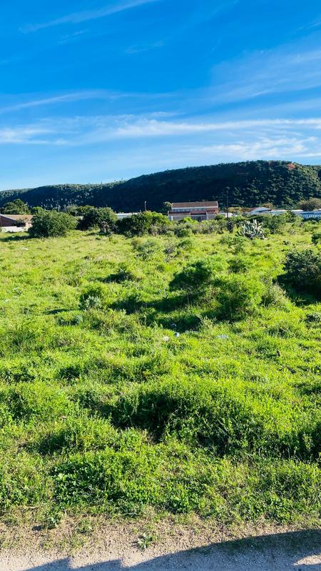 0 Bedroom Property for Sale in Colchester Eastern Cape